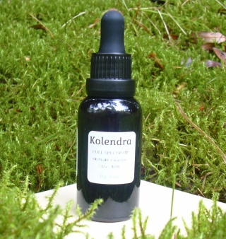 Ekstrakt z Kolendry 40% (30ml) | OCZYSZCZANIE Z METALI CIĘŻKICH