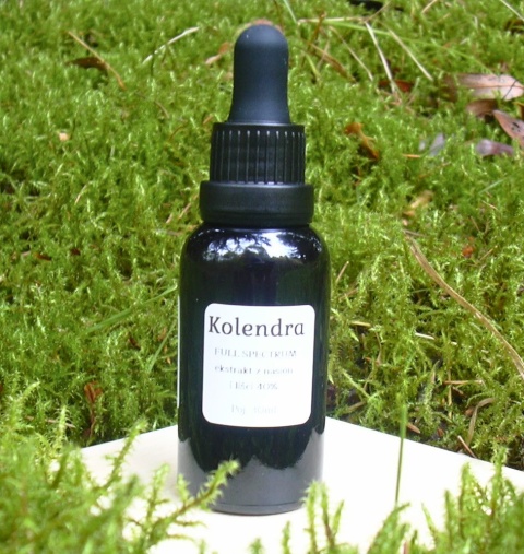 Ekstrakt z kolendry 30ml
