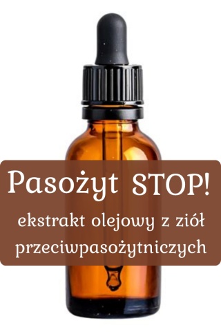 Pasożyt STOP Ekstrakt olejowy 30ml | PRZECIW PASOŻYTOM